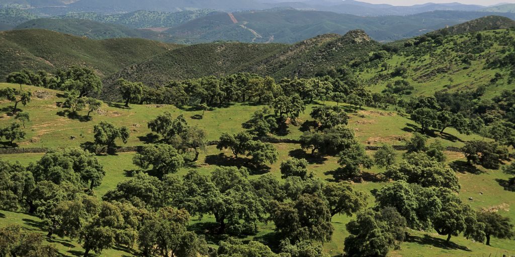 Sierra Aracena y Picos Aroche Huelva Spain
